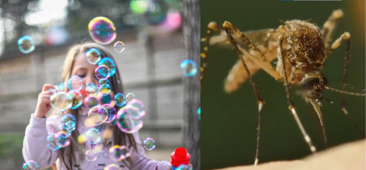 Do Bubbles Repel mosquitos?